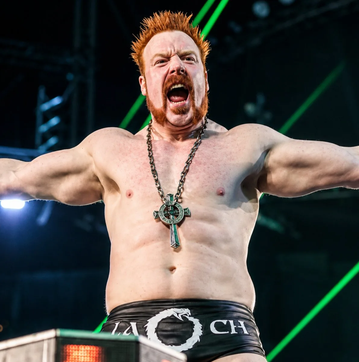 Sheamus е жертва на новия бизнес модел на WWE