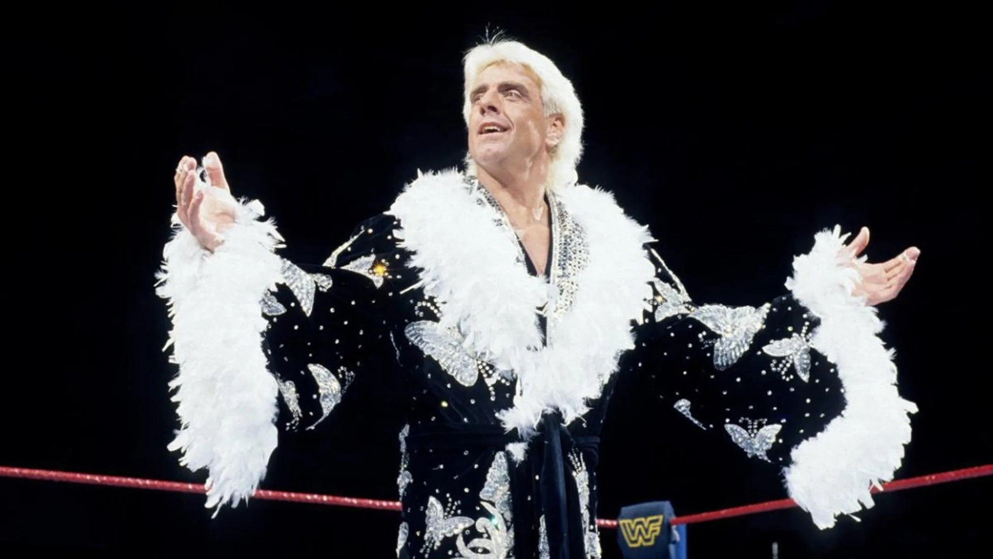 Ric Flair издирва кеч облеклата си
